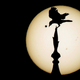 Illustration for article titled Behold The Transit of Venus In Photographs
